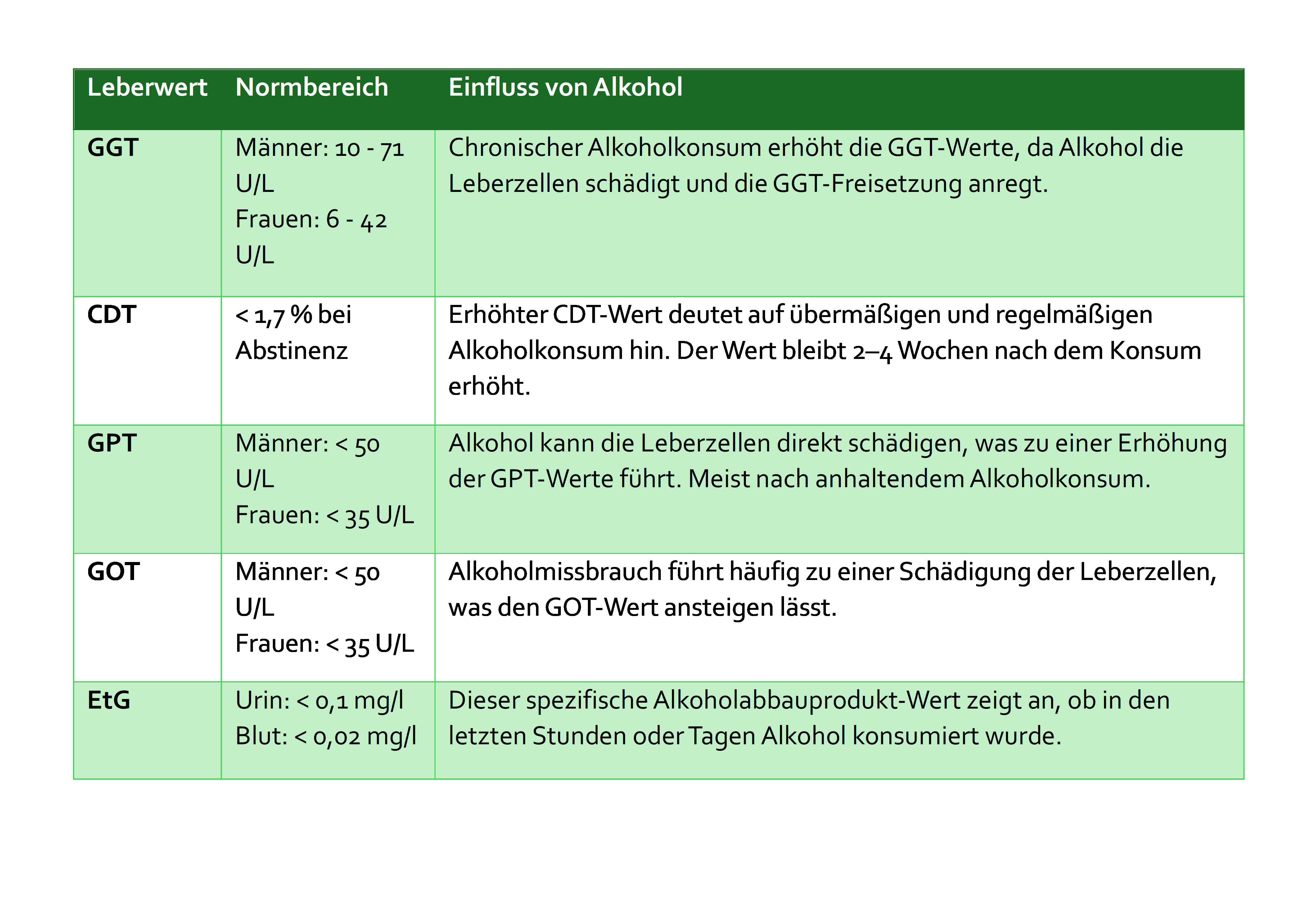 Tabelle der Leberwerte bei der MPU wegen Alkohol: GGT, CDT, GPT, GOT, EtG. Normbereiche für Männer und Frauen sowie der Einfluss von Alkohol auf die Leberwerte, einschließlich GGT (10-71 U/L), CDT (<1,7%), GPT und GOT (<50 U/L Männer, <35 U/L Frauen), EtG (Urin <0,1 mg/l).